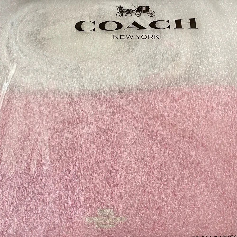 COACH Anna Foldover Clutch Crossbody With Chain